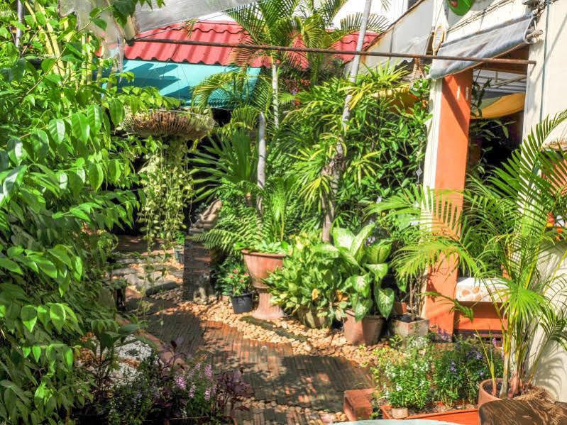 All In 1 Guesthouse Chiang Mai Zewnętrze zdjęcie